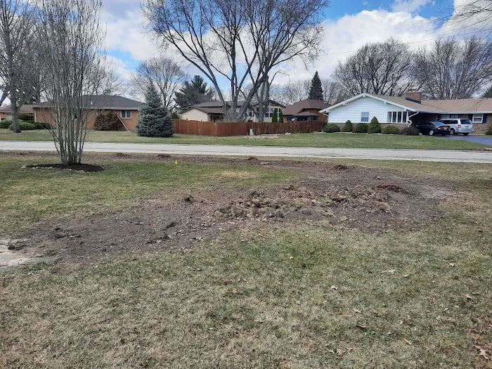 Tree Care Enterprises Inc. Picture 6