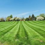 Crimson Valley Landscaping