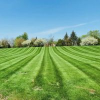 Crimson Valley Landscaping ico