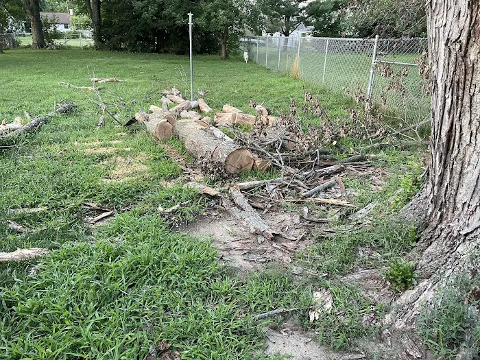 D & D Brothers Landscaping Picture 3