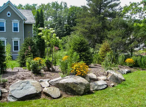 Roy's Lawn Care & Landscaping Picture 3
