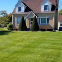 Integrated Lawn Care, Landscaping & Handyman Service LLC ico