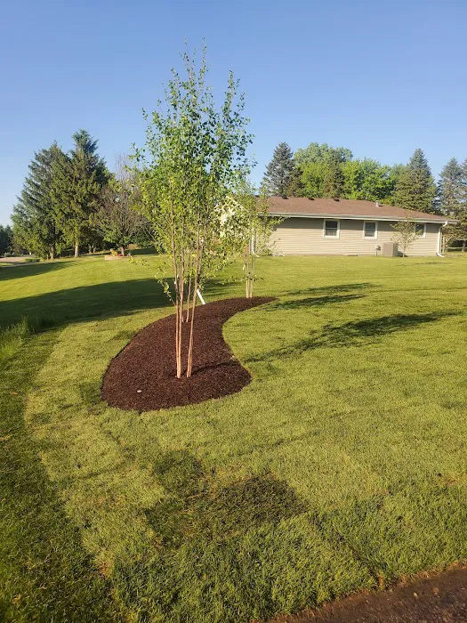Duran's Landscaping & Services LLC Picture 9