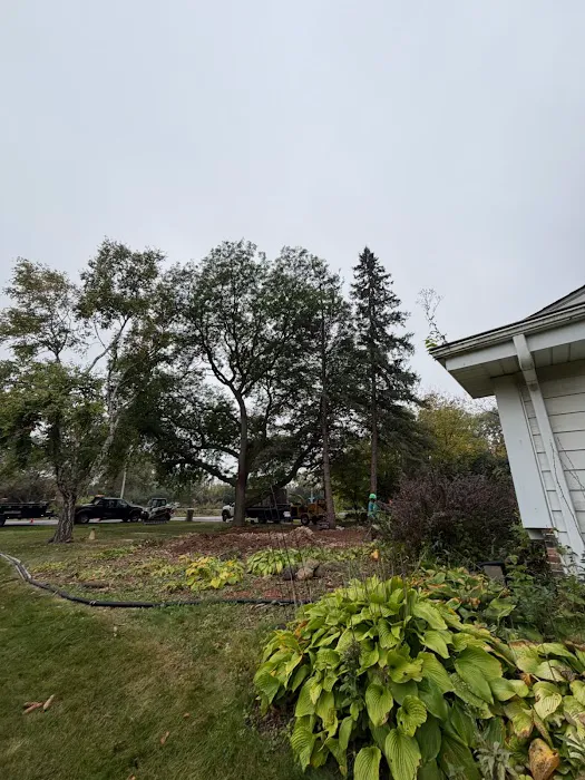 Your Friendly Neighbor Landscaping & Tree Service Picture 8