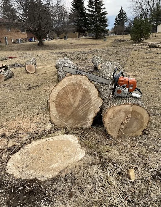 Your Friendly Neighbor Landscaping & Tree Service Picture 6