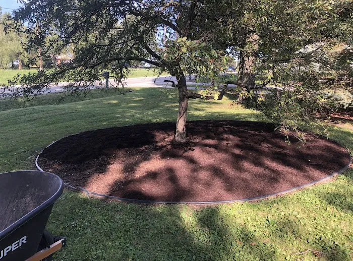 Your Friendly Neighbor Landscaping & Tree Service Picture 7