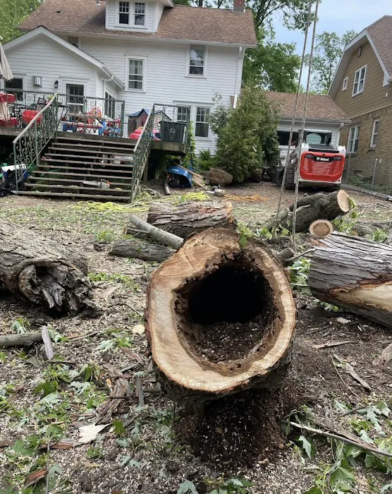 Your Friendly Neighbor Landscaping & Tree Service Picture 2