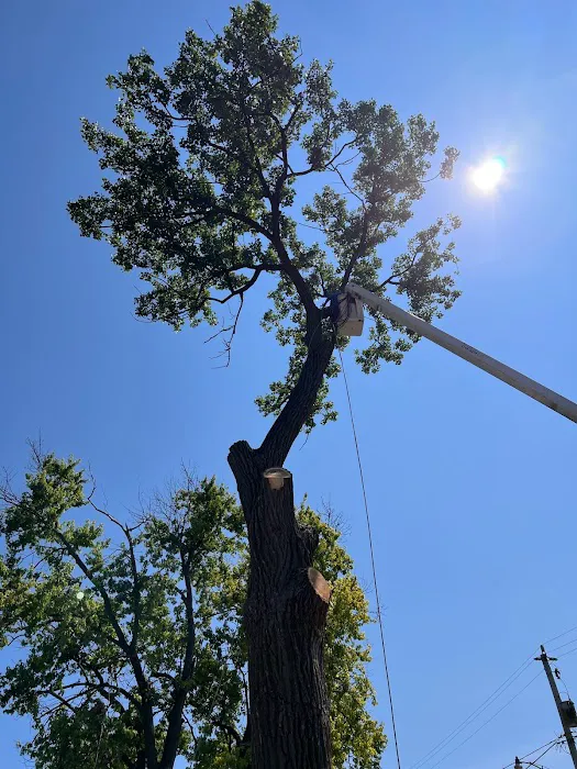 Your Friendly Neighbor Landscaping & Tree Service Picture 4