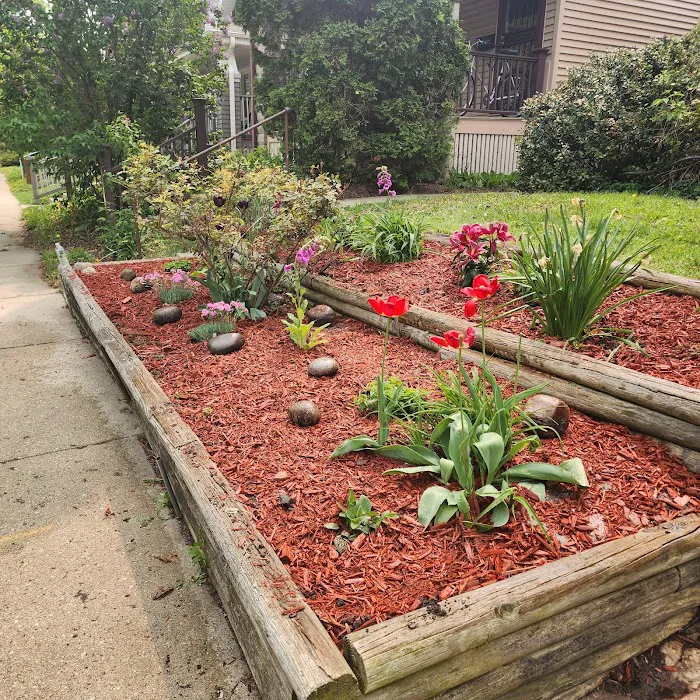 Janice's Maintenance Care Landscaping Picture 4