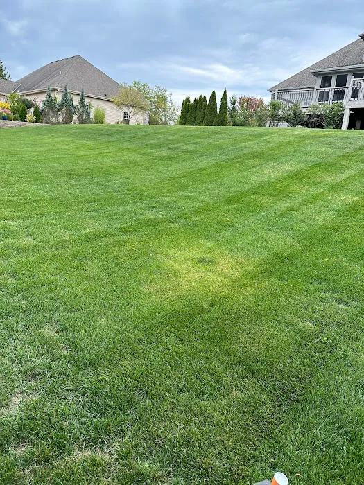 Hernandez Landscaping llc Picture 7