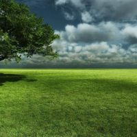 AAA Landscaping Llc ico