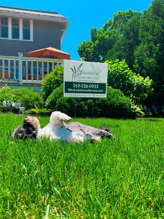 Waukesha Lawn Service Picture 3