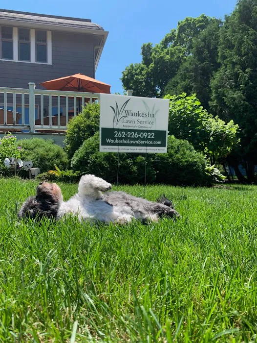 Waukesha Lawn Service Picture 5