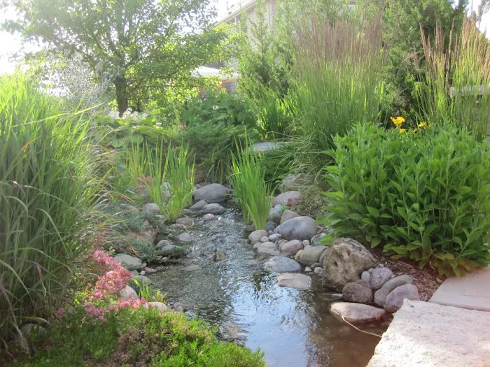 Best Choice Landscape Picture 5