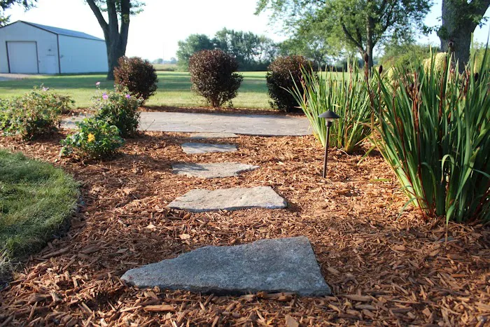Best Choice Landscape Picture 4