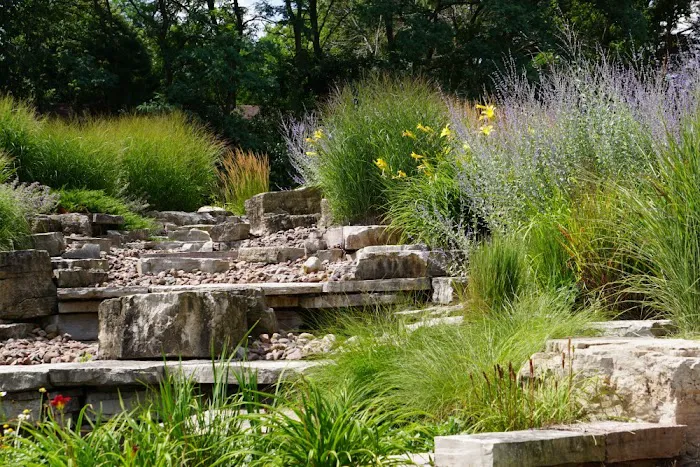 Best Choice Landscape Picture 8