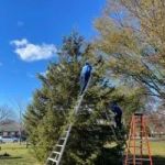 Kanavas Landscape Management
