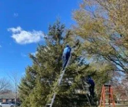 Kanavas Landscape Management