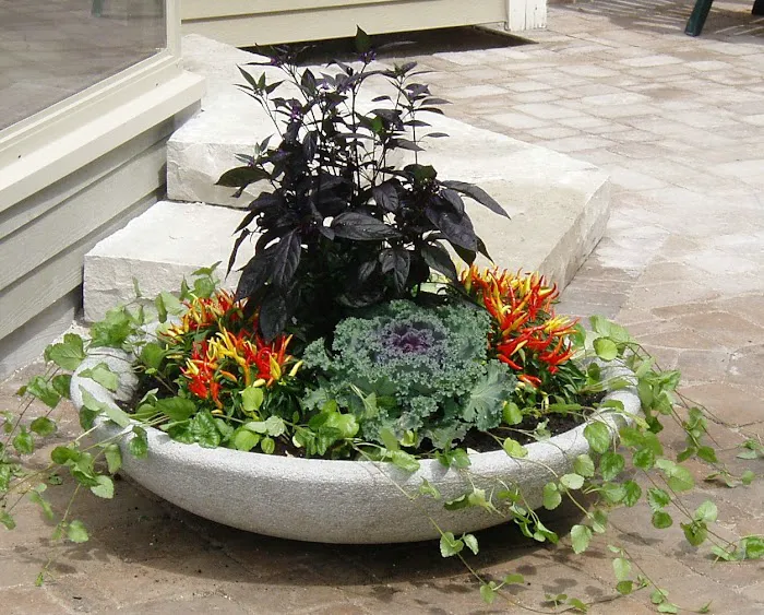 Kanavas Landscape Management Picture 4