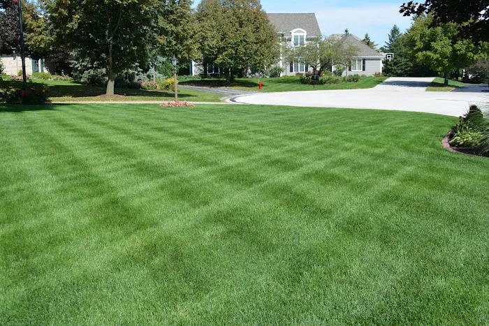 Kanavas Landscape Management Picture 7