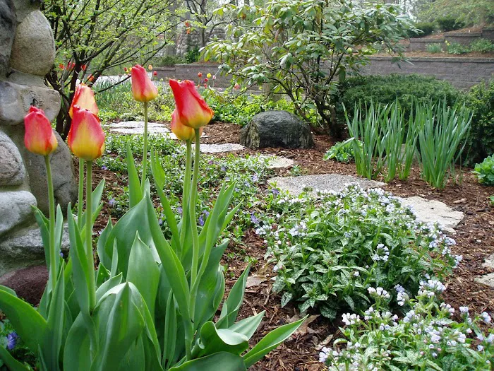 Kanavas Landscape Management Picture 3