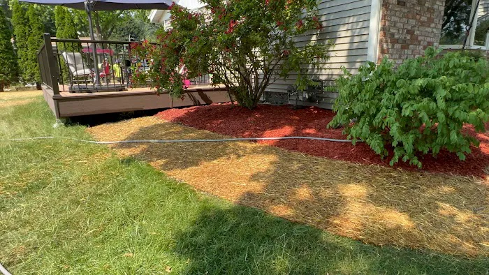 Brothers Rodriguez Landscaping Llc. Picture 6