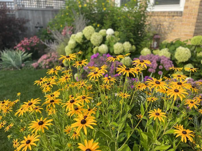 Bloom! Landscaping, LLC Picture 8