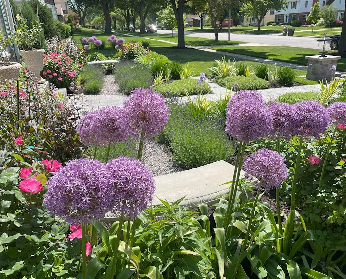 Bloom! Landscaping, LLC Picture 10