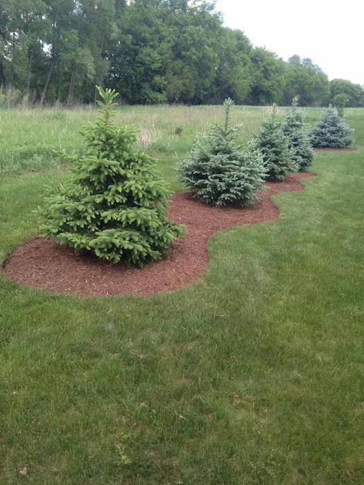 Green Site Lawn Care Picture 9