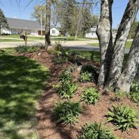 Superior Services Of Wisconsin LLC - Landscape Gardener & Lawn Care Services ico