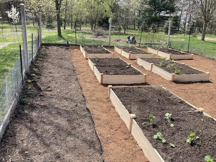 LC's Landscaping Services LLC Picture 2