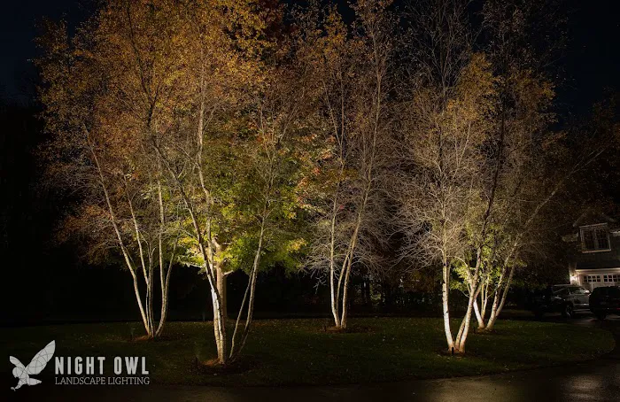 Night Owl Landscape Lighting Picture 2