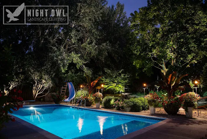 Night Owl Landscape Lighting Picture 7