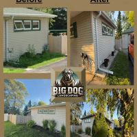 Big Dog Landscaping ico