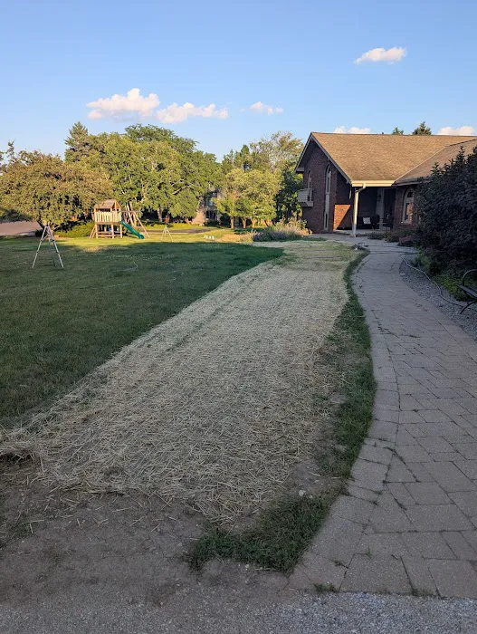 Big Dog Landscaping Picture 9