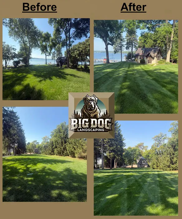 Big Dog Landscaping Picture 7