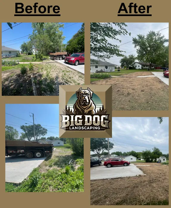 Big Dog Landscaping Picture 8
