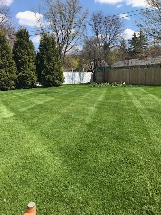 Dorado Lawn Seasonal Services LLC Picture 5