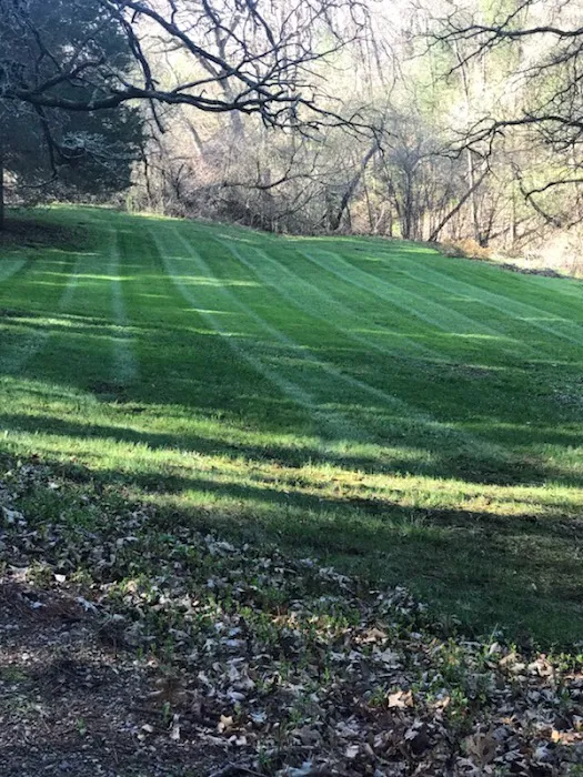 Dorado Lawn Seasonal Services LLC Picture 10