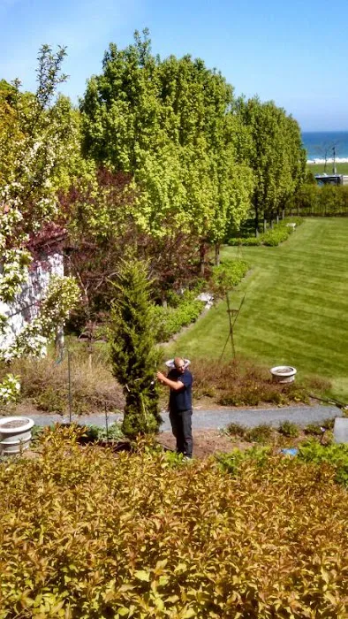 Rick's Lawn & Landscaping Picture 1
