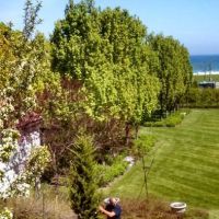 Rick's Lawn & Landscaping ico