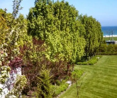 Rick's Lawn & Landscaping