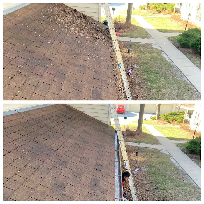 moctezuma landscaping LLC Picture 5