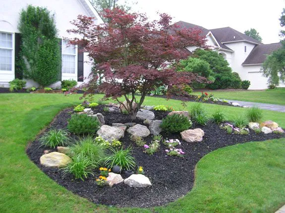 moctezuma landscaping LLC Picture 3