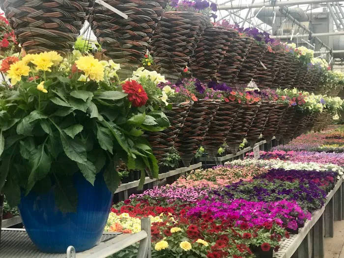 Piala's Nursery & Garden Shop Picture 6