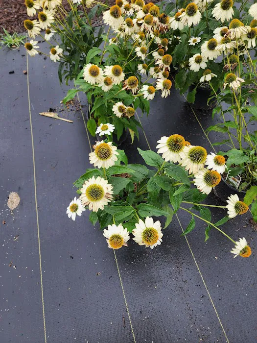 Atwood's Landscape Supply Picture 1
