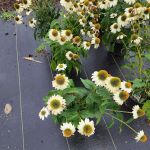Atwood's Landscape Supply