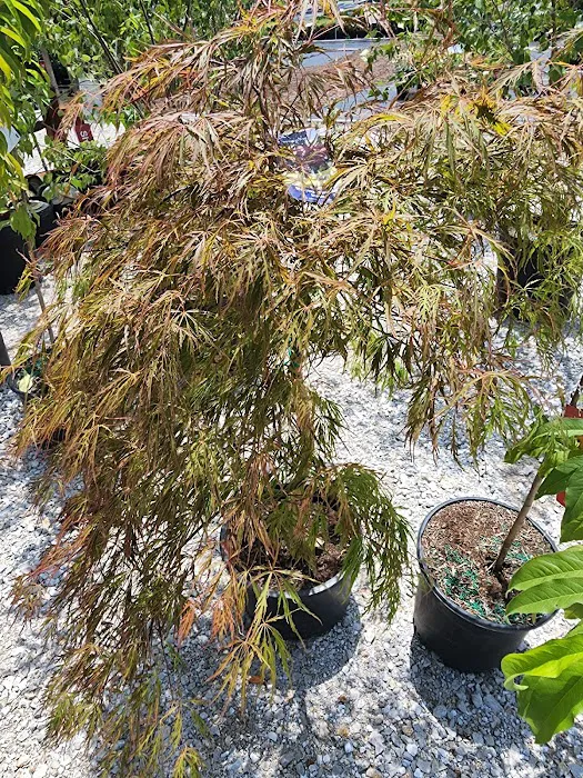 Atwood's Landscape Supply Picture 9