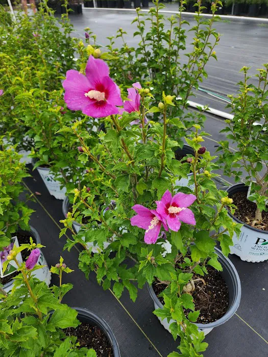 Atwood's Landscape Supply Picture 5