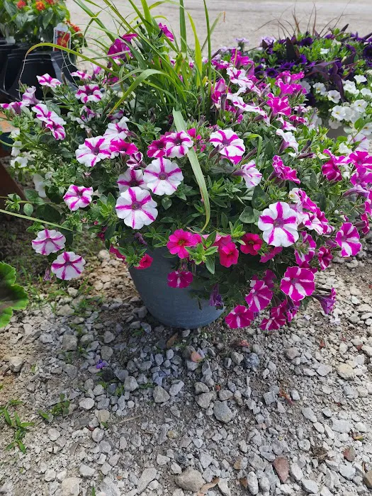 Atwood's Landscape Supply Picture 8